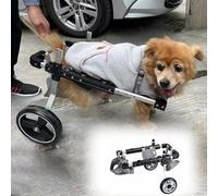 Adjustable Dog Wheelchair for Hind Legs - Mobility Aid for Disabled Dogs and Cats 2-Wheel Trolley Easy to Use Support for Active Pets Comfortable &