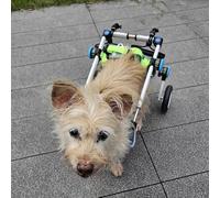 Adjustable Dog Wheelchair for Hind Legs - Mobility Aid for Disabled Dogs Perfect for Senior Pets with Stability Loss - Size S Enhance Your Pet's Independence