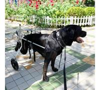 Adjustable Dog Wheelchair for Injured or Paralyzed Medium to XXL Dogs - Enhanced Mobility Aid with Extra Wide Supports for Comfort & Stability