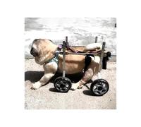 Adjustable Dog Wheelchair for Injured Pets - Aluminum Support Trolley for Back Legs Hip & Leg Brace Ideal for Dogs 5.5-24lbs (XS Wide) - Enhance Mobility & Recovery.