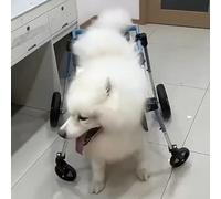 Adjustable Dog Wheelchair for Lar Dogs - Back Leg li Aid Cart, Supportive Did Pet Brace, Enhance Activi & t, Ideal for Did Dogs