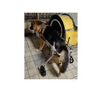 Adjustable Dog Wheelchair for Large German Shepherds M/XL/L/XL Rehabilitation Support for Dogs with Disabled Hind Legs 15-60 kg Weight Capacity