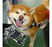 Adjustable Dog Wheelchair for Medium/Large Dogs - Supportive Mobility Aid for Paralysis Ideal Recovery Solution & Stroller Accessory for Disabled Pets