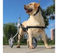 Adjustable Dog Wheelchair for Medium to Large Dogs - Support for Weak Hind Legs Mobility Aid with Rolling Wheels Ideal for Dog Rehabilitation (Size XL)