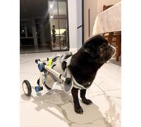 Adjustable Dog Wheelchair for Rear LegsComfortable Support for Small Dogs Paralysis Recovery Aid FoldableRehabilitation Cart for Cats and Dogs