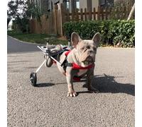 Adjustable Dog Wheelchair for Small Dogs (1 10 kg) Mobility Aid Stroller for Aging Injured or Disabled Pets Easy to Use Canine Mobility Solution.