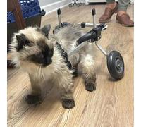 Adjustable Dog Wheelchair for Small Dogs - Mobility Support for Paralyzed Hind Legs - Comfortable Rehabilitation Aid for Canine Mobility