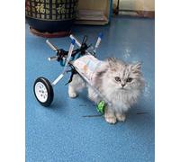 Adjustable Dog Wheelchair for Small Dogs - Pet Stroller for Chihuahuas Kittens & Puppies - Soft Harness for Rear Leg Paralysis Recovery (Size XS)