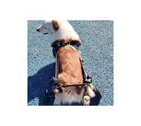 Adjustable Dog Wheelchair for Small Dogs Rear Leg Support Rehabilitation Aid for Amputee DogsEnhanced Mobility and Comfort Perfect for Active s