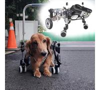 Adjustable Dog Wheelchair for Small Medium & Large Pets - 4-Wheel Mobility Support for Front & Hind Legs - Canine Mobility Aid for Enhanced Movement (Size M)
