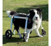 Adjustable Dog Wheelchair for Small Mum & Dogs li Aid for Did Canines Rear Leg Support Size M Enhance li & Quali of Life(Size XS)
