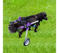 Adjustable Dog Wheelchair for Small Pets 2-Wheel Mobility Aid for Injured or Disabled Dogs Rear Leg Support Harness for Rehabilitation (X-Small)