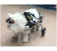 Adjustable Dog Wheelchair for Small Pets - Back Leg Support Cart for Handicapped Dogs & Cats, Puppy Walk Assist Kit for Injured or Disabled Pets