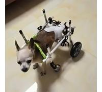 Adjustable Dog Wheelchair for XXS/XS/S/M/L - 4 Wheels Pet Cart for Crippled Dogs, Full Support Trolley for Back/Front Legs, Mobility Aid for Large Dogs