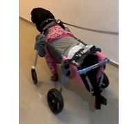 Adjustable Dog Wheelchair - Full Support for Disabled Pets - Easy Assembly for Shiba Inu, Labrador & More - Enhance Mobility for Your Furry Friend