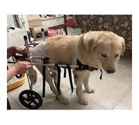 Adjustable Dog Wheelchair Pet Stroller Set for Disabled Dogs Metal Frame Pet Walker to Restore Mobility for Pets with Paralysis in Hind Legs