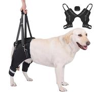 Adjustable Dog Wheelchair With Rear Support Harness & Memory Spring, Reflective Mobility Aid For Senior Dogs Hip Dysplasia Arthritis Post-surgery Recovery (m) Colour S
