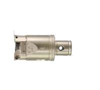 Adjustable Double-Edged Boring Tools 25-33 32-42 40-55 68-92 Rough Boring Head BT30 BT40 LBK LBK2 Boring Tool CCMT Blade(TCT 32-42)