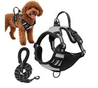 Adjustable Harness for Puppies - Reflective Safety Design, Soft and Breathable Padding, Lightweight Construction with Sturdy Metal D-Ring | Suitable for Running, Hiking, Explore