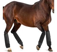 Adjustable Horse Fly Boots Set, Equine Leg Protection Reduce Stomping, Breathable Mesh Fly Boots for Training Equestrian Equipment(M)