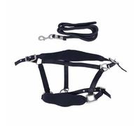 Adjustable Horse Training Halter, Soft Padded Horse Halter Leash Set, Anti Rubbing Polyester Halter with 2m High Strength Leash for Daily Walking Jogging and Training (L)