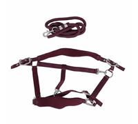 Adjustable Horse Training Halter with 2m Leash, Soft Padded Anti - Rubbing Halter Set for Daily Use and Riding (S)