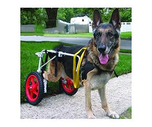 Adjustable Large Dog Wheelchair for Disabled Dogs KHUY Pet Mobility Aid Rehabilitation Support Cart for Big Dogs Leg Support Enhance Mobility & Quality of Life