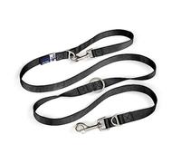 Curli Adjustable Nylon Dog Leash - Black - L