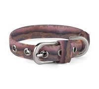 Adjustable Lightning Strikes Under A Rainbow Dog Collar,Comfortable Pet Collar for Small to Medium Dogs