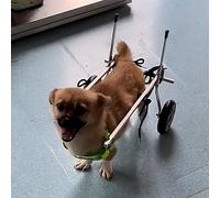 Adjustable Lightweight Dog Wheelchair for Small Medium Large Dogs - Mobility Aid for Back Legs, All Terrain Support Trolley, Size XS Widen