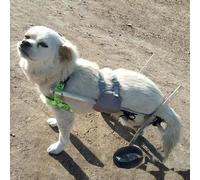 Adjustable Lightweight Dog Wheelchair for Small Medium Large Dogs - Rear Leg Support Mobility Aid for Paralysis, Hip Brace Trolley, Walk Tools (Size XS)