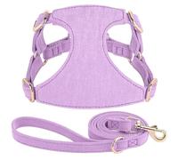 Adjustable Mesh Nylon Dog Training Harness And Leash Set For Small And Medium Dogs Yorkshire Terrier Chihuahua Bulldog Pug,Purple,M