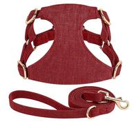 Adjustable Mesh Nylon Dog Training Harness And Leash Set For Small And Medium Dogs Yorkshire Terrier Chihuahua Bulldog Pug,Red,XS