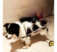 Adjustable Metal Dog Wheelchair - Lightweight Cart for Small Dogs & Cats, All-Terrain Support, Size S, Perfect for Rear Leg Disability, Mobility Aid for Pets