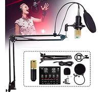 Adjustable Mic Sound Card Bundle, USB DSP Chip Dual-Channel, Metal Shock Mount, Double-Layer Pop Filter, for Live Streaming, Games, Recording