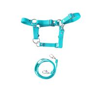 Adjustable mint halter with chiefs for hobby horse, handmade accessories for hobby horse, size UNIVERSAL from A4 to A3