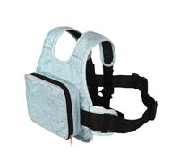 Adjustable Motorcycle Children Security Strap Universal Bicycle Kids Tandem Safety Seat Belt Harness(Blue)