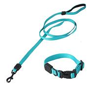 Adjustable Nylon Dog Walking Chest Back Traction Collar Leash, Soft Foam Handle Lead Strap with Dual Buckles, Comfortable No Pull Harness for Small Medium Large Dogs (L)
