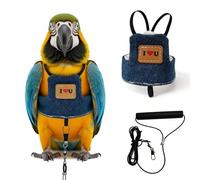 Adjustable Parrot Harness and 78.7" Long Leash Set, Anti-Bite Nylon Outdoor Flying Rope, Cute Wing Style Lightweight Training Accessory for XS Small Parrots, Mini Macaw and Similar Birds (S)