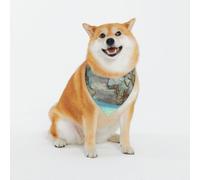Adjustable Pet Bandana,Cartoon World map Print Cute Cats Pet Outfit,Reflective Dogs Scarf Holiday Costumes