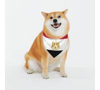 Adjustable Pet Bandana,Egyptian Flag Print Cute Cats Pet Outfit,Reflective Dogs Scarf Holiday Costumes