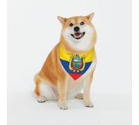 Adjustable Pet Bandana,Flag of Ecuador Print Cute Cats Pet Outfit,Reflective Dogs Scarf Holiday Costumes