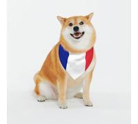 Adjustable Pet Bandana,French Flag Print Cute Cats Pet Outfit,Reflective Dogs Scarf Holiday Costumes
