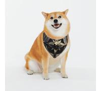 Adjustable Pet Bandana,Magical Runes Compass Print Cute Cats Pet Outfit,Reflective Dogs Scarf Holiday Costumes