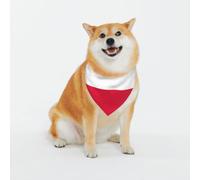 Adjustable Pet Bandana,Polish Flag Print Cute Cats Pet Outfit,Reflective Dogs Scarf Holiday Costumes