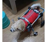 Adjustable Pet Dog Wheelchair | Mobility Aid with 2 or 4 Wheels for Senior Dogs | Support for Arthritis & Weak Hind Legs | Size S