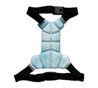 Adjustable Pet Harness and Lead Accessory, Sky Blue, B, Lightweight Design for Dogs, for Walking, Training and Short Walks, for Daily Use at Home and on the Go