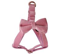 Adjustable Pet Harness with Bow, Polyester Chest Strap for Small to Large Pets, Includes Tow Rope, Available in S, M, L, XL, Pink (XL)