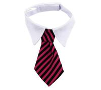 Adjustable Pet Necktie with White Collar for Dogs and Cats