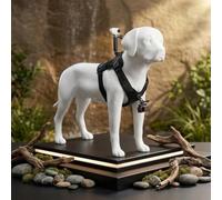 Adjustable Pet Vest Rig for DJI for osmo 85cm Strap Adjustable | Dual-mount design, front and back views, captures chewing digging jumping, unique pet perspective footage